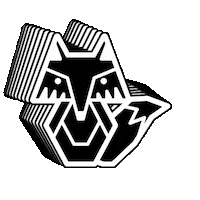 Fox Chile Sticker by atacamarides