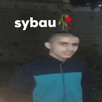 Sybau GIF