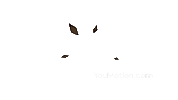 Animation Falling Sticker by youmotion.com