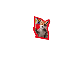 Proud Fox GIF by Deutscher Gewerkschaftsbund (DGB)