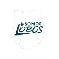 Lobos Sticker by Colegio Campogrande