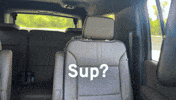 Lets Go Chill GIF by General Motors