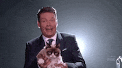 grumpy cat GIF by American Idol