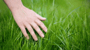 Touch Grass GIF