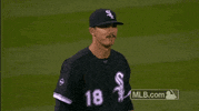 White Sox Shrug GIF by MLB