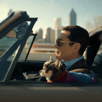 Television Swag GIF by ABC Network