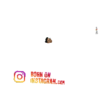 Mukulkrishna2021 Sticker by BORN ON INSTAGRAM