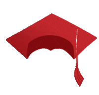 FloridaSouthern college 2020 florida cap Sticker