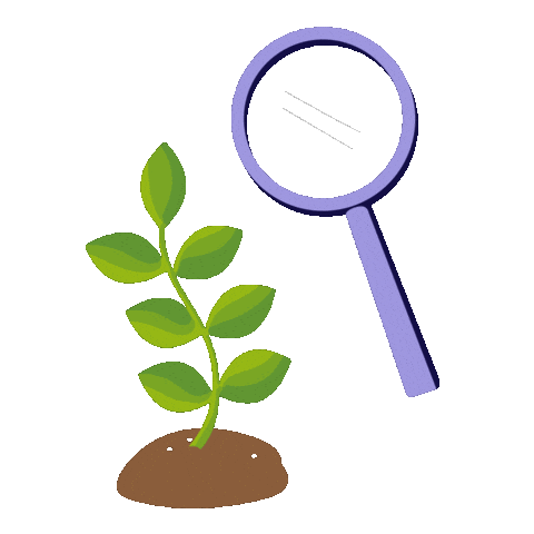 Botanic Garden Plants Sticker by Kew Gardens