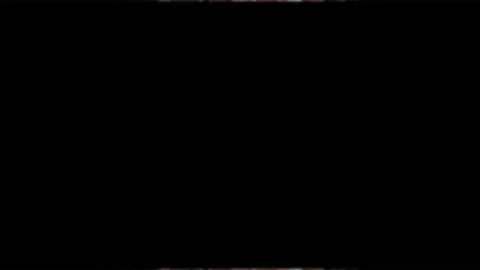 GIF by Columbus State University Athletics