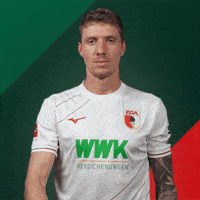 Bundesliga Ja GIF by FC Augsburg 1907