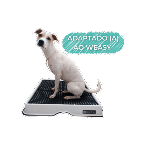 Sticker by Weasy