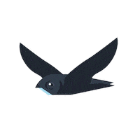 Bird Of The Year Sticker by RSPB