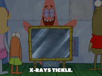 season 8 restraining spongebob GIF by SpongeBob SquarePants