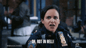 Brooklyn 99 GIF by NBC