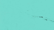 bbc three lets settle this GIF by BBC