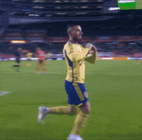 Regular Season Love GIF by Major League Soccer