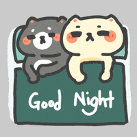 Sleep Together In Love GIF