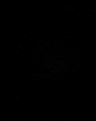 Fonsfish giphygifmaker rose soul bahia GIF