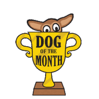 Dogs Adopt Sticker by Second Chance Dog Rescue