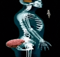 ItsCulture ai ass brain dumb GIF