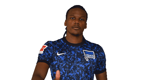 Home Swipe Up Sticker by Hertha BSC