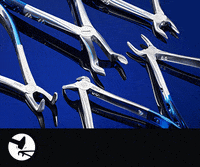 TBSinstruments tbs fring forceps tbsdental GIF