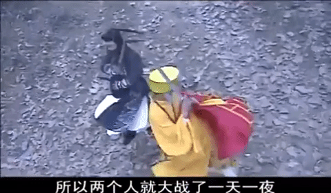 kung fu GIF
