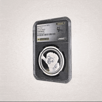 Coin Silver GIF by VeeFriends