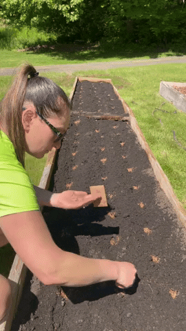 cedarflatsflowerfarm giphyupload GIF