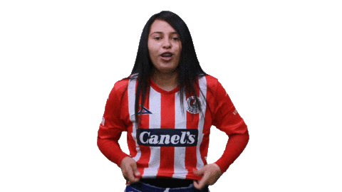 San Luis Soccer Sticker by Atlético de San Luis