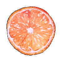 paveeeel orange fruit fruits watercolor Sticker