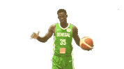 Game Basketball Sticker by FIBA