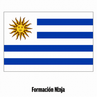 Flag Pixel Art GIF by Formación Ninja