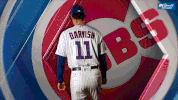 excited chicago cubs GIF by NBC Sports Chicago