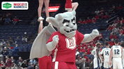 bradley GIF by Missouri Valley Conference