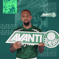 Looking Felipe Melo GIF by SE Palmeiras