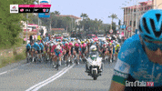 GIF by girodiitalia