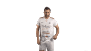 Pavelec Sticker by Real Top Praha