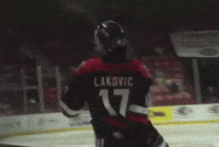 Moose Jaw Warriors Whl GIF