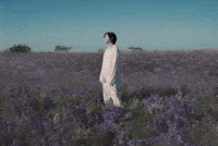 Rm Indigo GIF