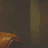 pork soda GIF by Glass Animals