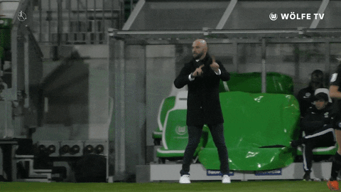 Champions League Football GIF by VfL Wolfsburg