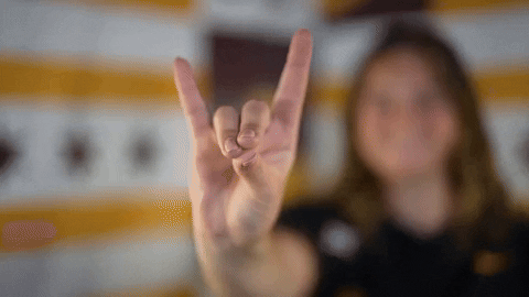 Loyola Softball GIF by LoyolaRamblers
