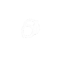 Bcorp Sticker by Doe-Anderson