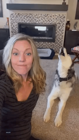 'Ya Done?' Vocal Husky Goes on Howling Rant at Owner
