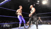 epw headbutts GIF