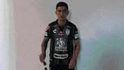 Futbol Mexicano GIF by Club Pachuca Tuzos