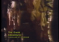 mdleone caravan of courage GIF