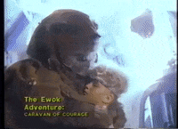 mdleone caravan of courage GIF